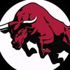 BURA BULL🤘