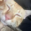 hynhoanhiu_10