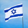 yotam_halavy