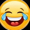 Funny animals