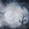 weoxxll1