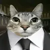 byfy06