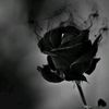 user313372429087