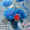 mudasii1