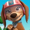 liberti_pawpatrol