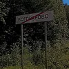 suetolog4461