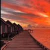 realphoto12