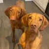 bruce.and.archie