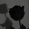 louay.hmku8