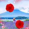 mohamud.xadaari