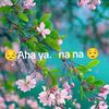 pari12385