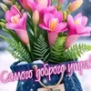 user1581461983811