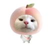 mr.hong_josh