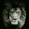 rufat.rufat62