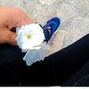 user72401949953450