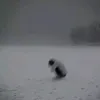 tronghaybun0