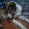 user7527037770908