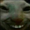 arectoban_za_skam
