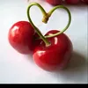 ام شمس
