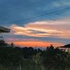 bru_situmorang