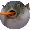 0kweeniewathiermoet