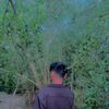 sadew Akash