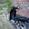 black.spet