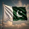 muhammadhamza4640