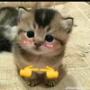 yeubenhieu_m