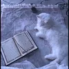 zakhoy_f09