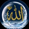 magd.abo.fara