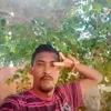 diiano186