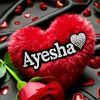 user1231182439846