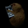 atovtkgdcuoi