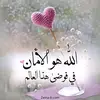 jemel8165785811312