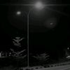 sella_jinsay