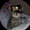 wapiz_tv