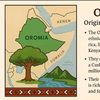 oroo703