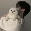 chi_chi_the_kitty