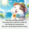 anna.nt1238