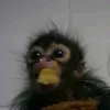 adictoalospolvos
