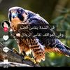 user5262029530693