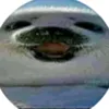 metam0rff