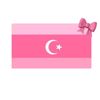 aminamahmoud241