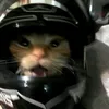 PawloZeW