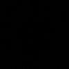 2_9vt