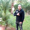amine_japoni1