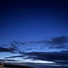 not_c15268