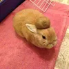 kiviiiiiiiiiiii7