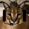 leojuf12